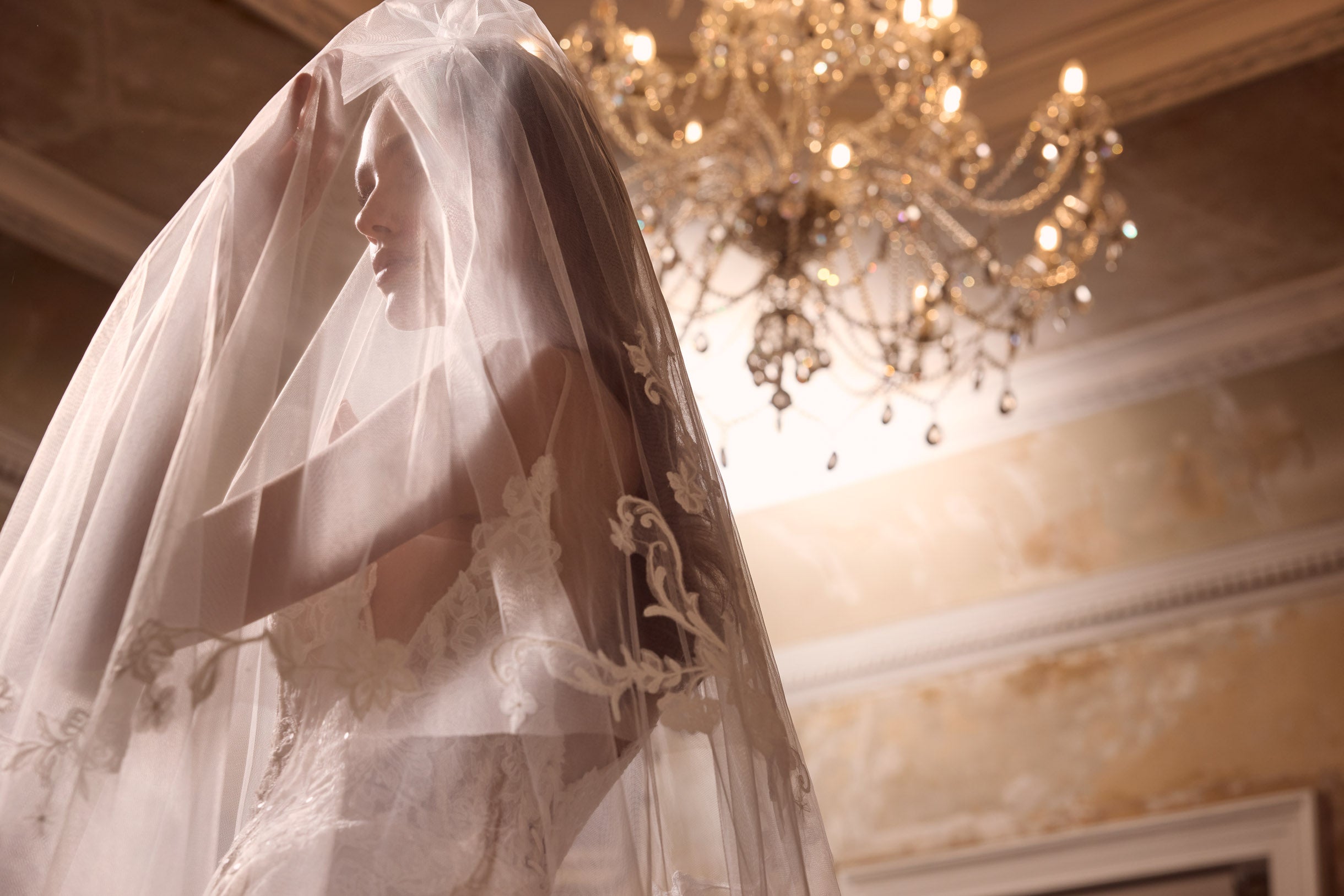 Ava Veil