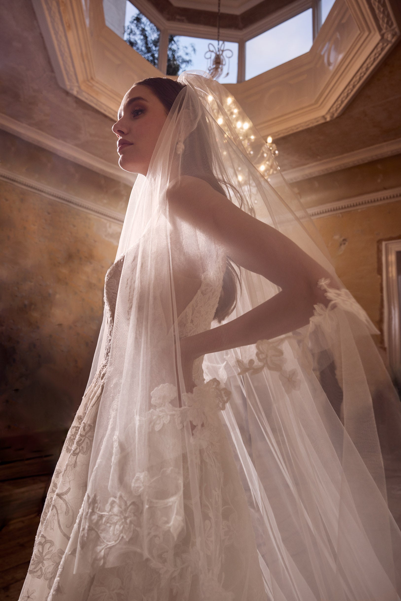 Ava Veil