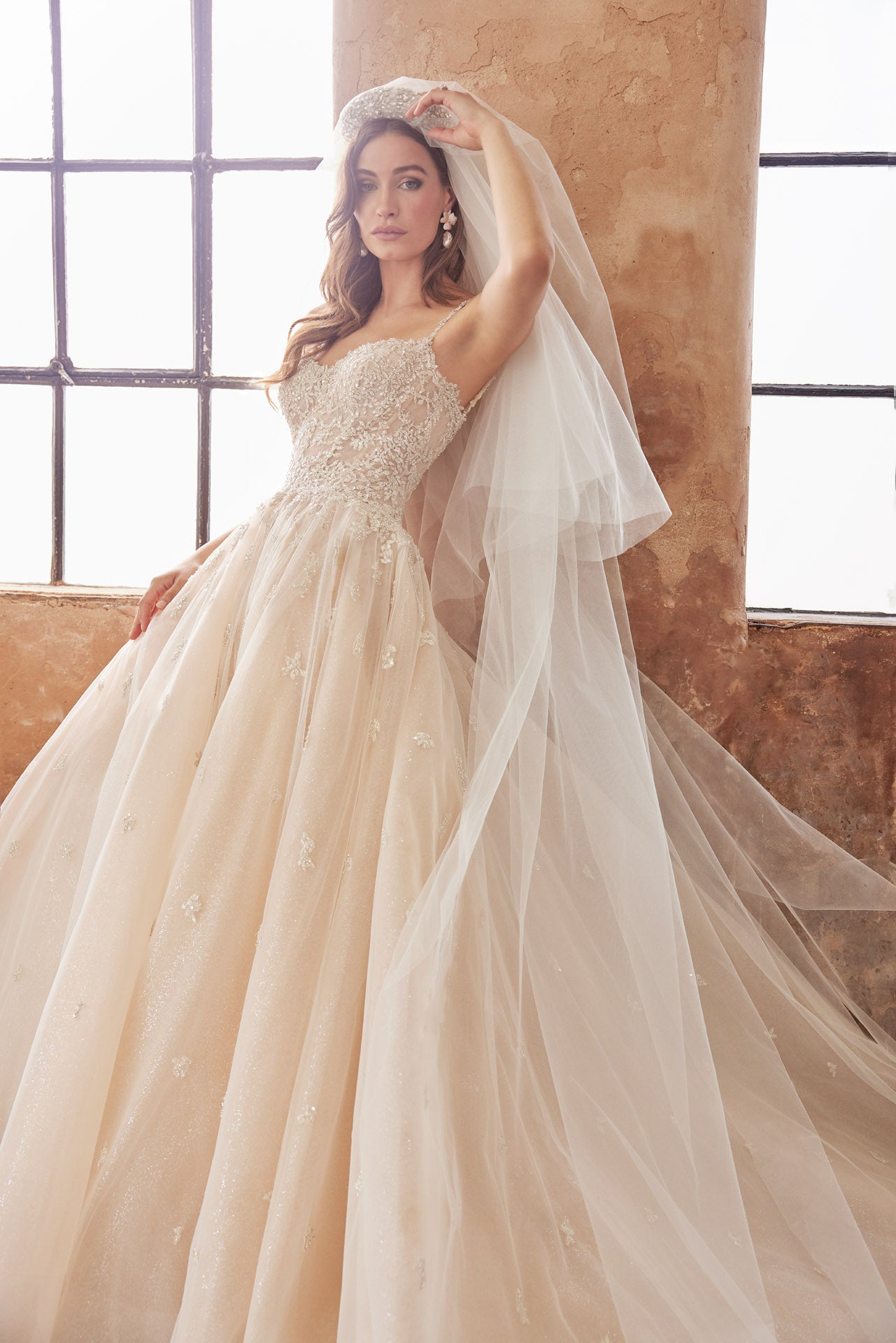 Embellished princess gown, metallic beaded lace bodice and beaded straps. Full skirt with crystal buttons on back.