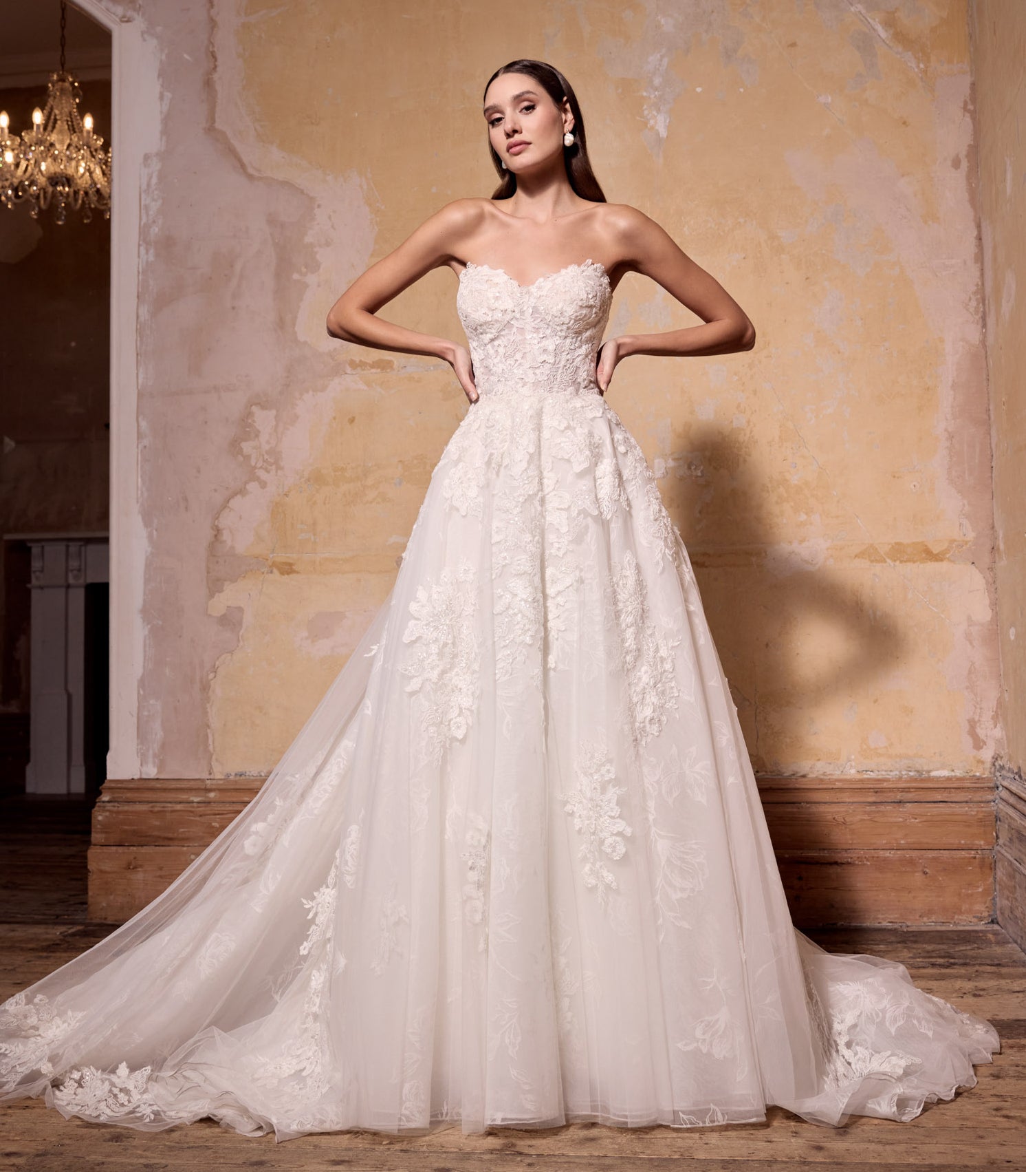 sweetheart neckline lace applique A-line rose print organza dress with corset