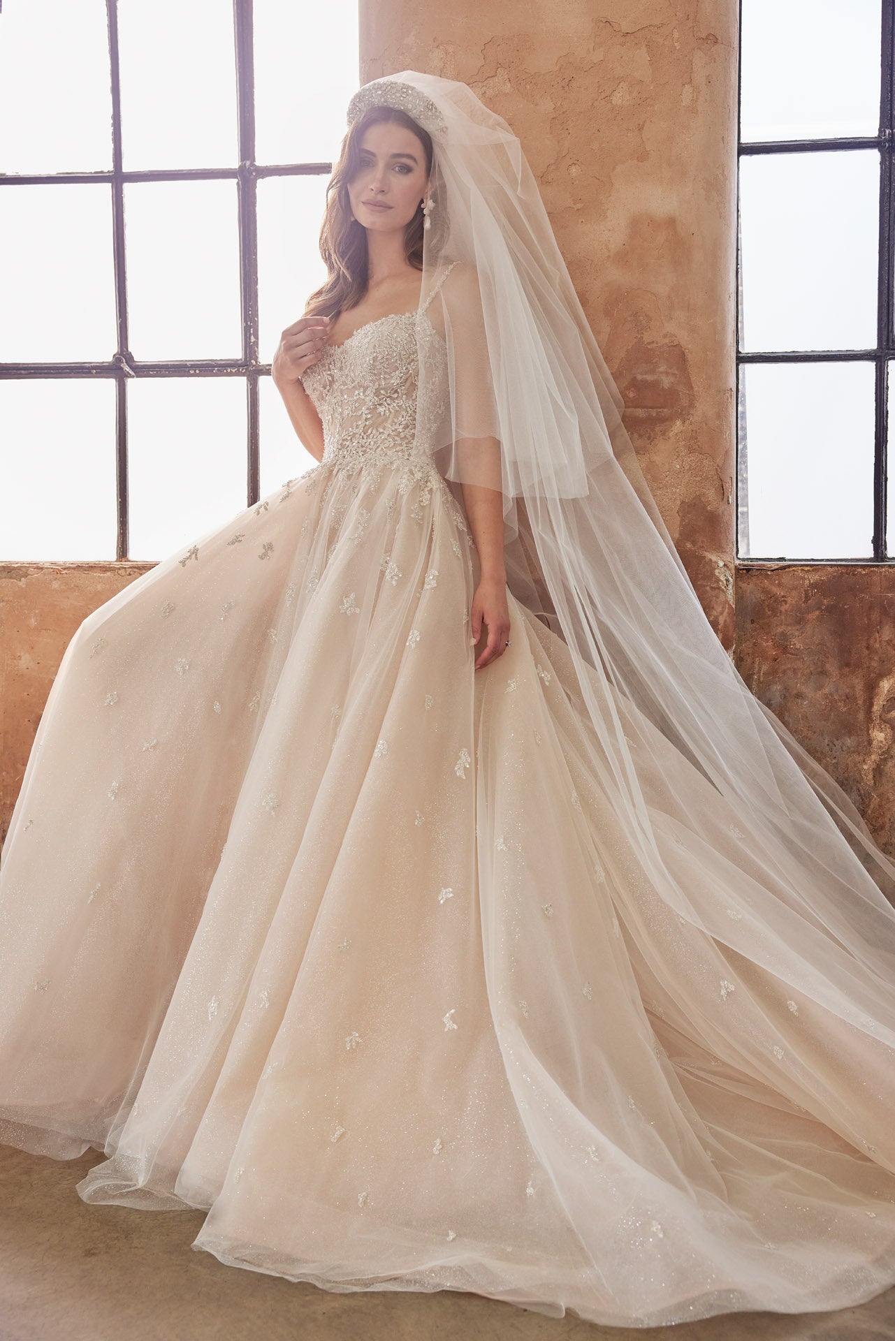 Embellished princess gown, metallic beaded lace bodice and beaded straps. Full skirt with crystal buttons on back.